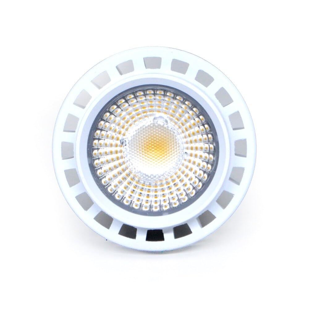 Ever Sun 365 エバーサンサンンロクゴー 12473.jpg